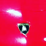 Reed - @reed_orr - Instagram