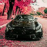 Reed Peterson - @reedpeterson753 - Instagram