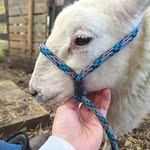 Reed Roberts - @reedroberts76 - Instagram