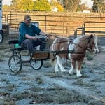 Reed Showalter - @reedshow - Instagram
