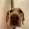 daniellreedsparks - @user5565076774031 - TikTok
