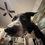 Reed Stallings - @stallingsreed - Instagram