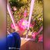 Reem Abbas - Facebook