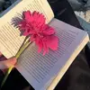 Reem Azzam - @reem.azzam3 - TikTok