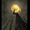 .Reem Azzam - - @.reem.azzam - TikTok