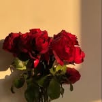 Reem Elkhaldi - @2002.reem.ali - Instagram