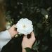Reem Issa - Facebook