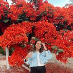 Reem Kamel - @reemkamel - Instagram