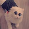 REEM MANNA - @reemmanna1989 - TikTok