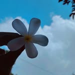 Reema Soni - @reema.soni.75436 - Instagram