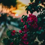 Reena Kothari - @reenakothari12 - Instagram