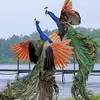 Reena - @reenalatareddy - TikTok