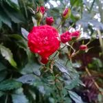 reena Varghese - @__reena__varghese__ - Instagram