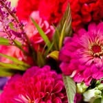 reena, Vijay kuamr - @reena_vijay_kumar - Instagram