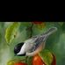 Sandhya Rani - Facebook