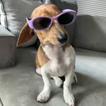 Reese Bauer - @reese.bauerr - Instagram