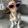 Reese - @reesebauer - TikTok