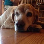 Hallie Reese Cain - @sassyandgolden - Instagram