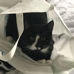 Reese dodd - @reese_dodd96 - Instagram