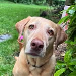 Reese Fowler - @reesedawgblog - Instagram