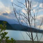 Reese - @reese_fowlerw.0x - Instagram