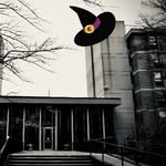 Reese Hall - @reesehallutk - Instagram