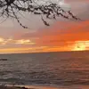 reese - @reesehallll - TikTok