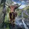 Reese.hall4 - @reese.hall4 - TikTok