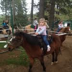 Reese - @reese_jensen2487 - Instagram