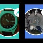 @reeseandcreedvines - Instagram