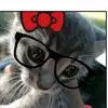 Reese walker - @reese.walker27 - TikTok