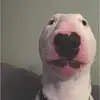 Reese Walker - @im.trying.to.be.trendyy - TikTok