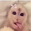 reesewalker10 - @reesewalker10 - TikTok