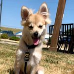 Reese Wright - @reesewright2020 - Instagram