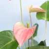 refik_akin9 - @refik_akin9 - TikTok