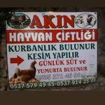 Refik akın - @refikakin176 - Instagram