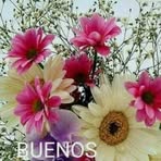 Maria Del Refugio Avendaño Calderon - Facebook