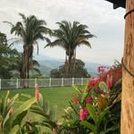 Diego Montilla - @galloselrefugio - Instagram