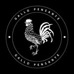 Gallo - @refugio_gallos - Instagram