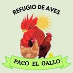 Paco el gallo refugio - @paco_elgallo_refugio - Instagram