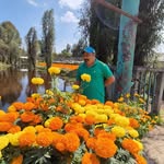 Refugio Gonzalez - @refugio.gonzalez.984 - Instagram