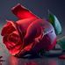 Refugio Gonzalez - Facebook