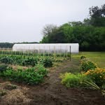 Huerta  El refugio - @huerta_elrefugio - Instagram