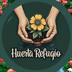 Huerta Refugio - Plantas Orgánicas en Cali - @huertasrefugio - Instagram