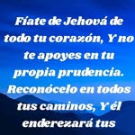 Refugio Huerta - @huertarefugio62 - Instagram