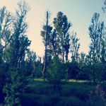 Refugio Ruiz - @refugioruizesparza - Instagram