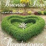 Refugio Ruiz - @refugio.ruiz.7965 - Instagram