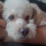 Refugio Salgado - @resalmi - Instagram