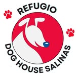 ❤️🤍Refugio Dog House Salinas🤍❤️ - @doghousesalinas.ec - Instagram