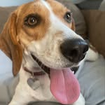 Regan Benson - @tfwhiskey - Instagram